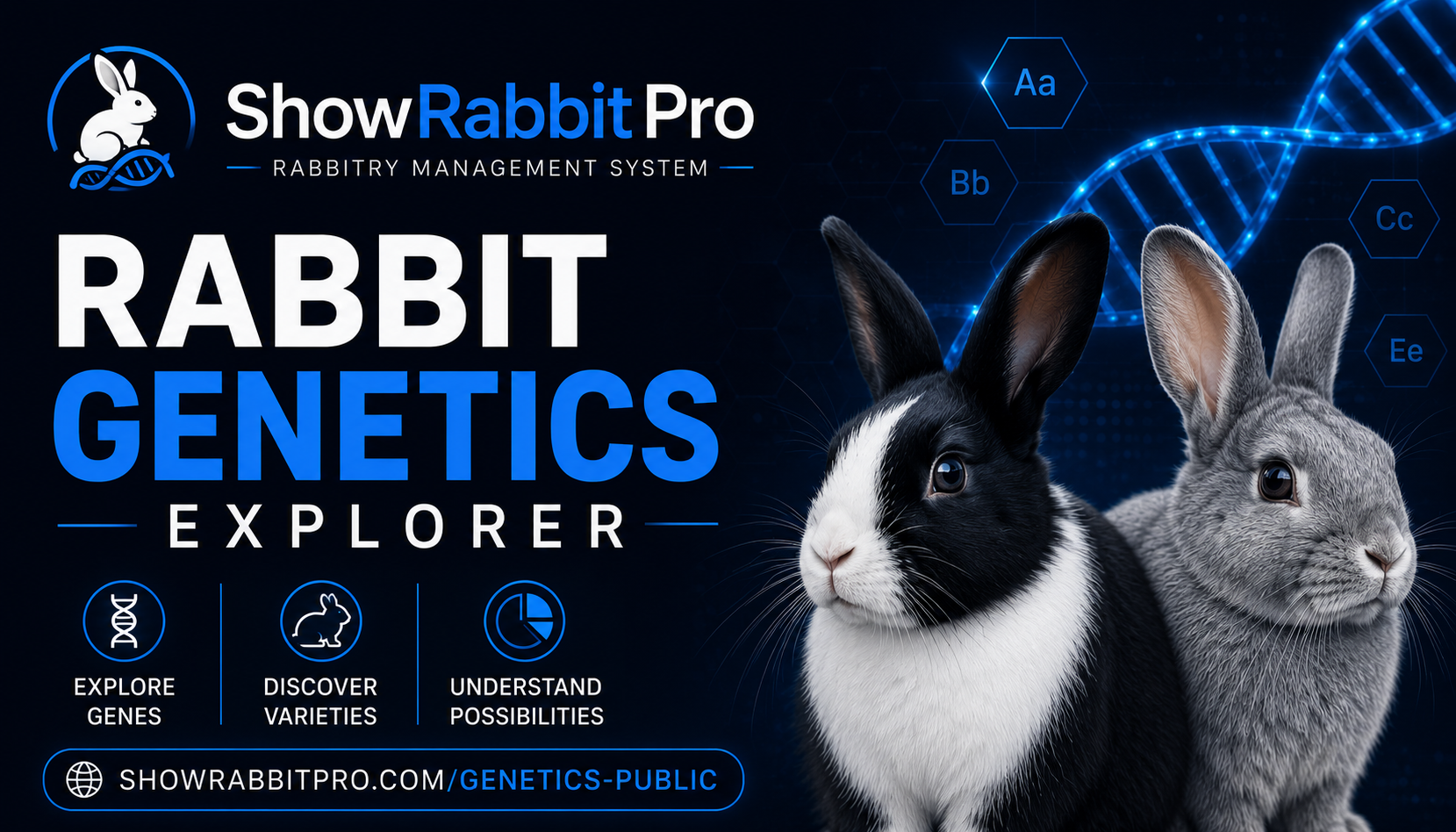 Rabbit Genetics Calculator & ARBA Color Lookup | Show Rabbit Pro